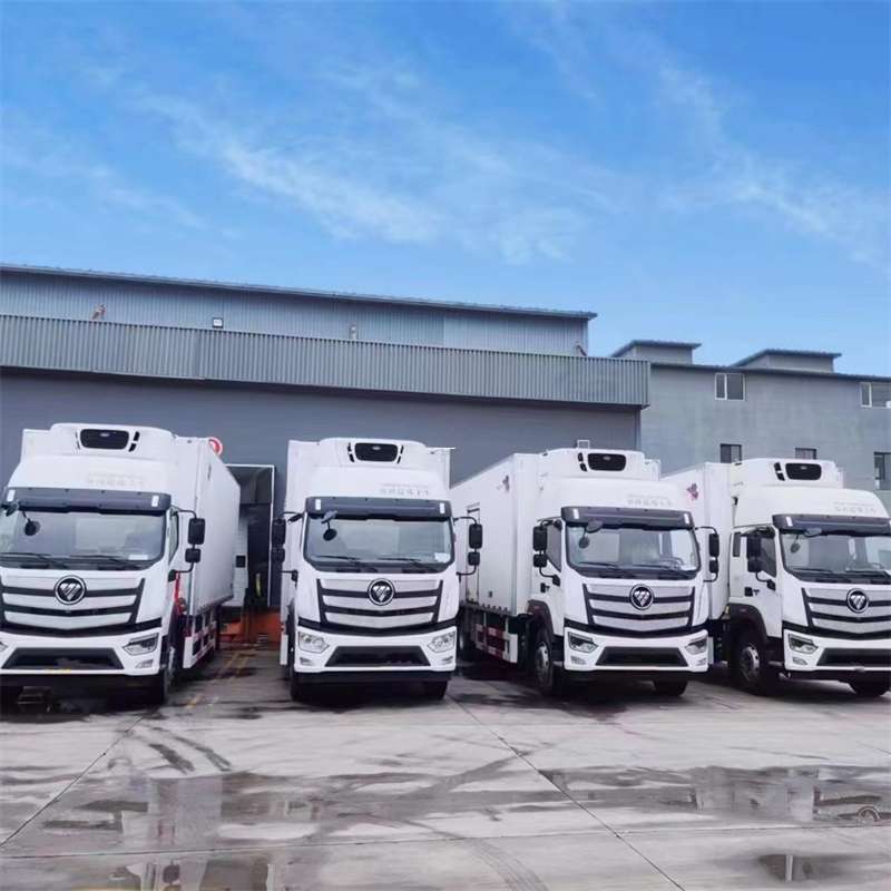 永吉县新龙县进仓物流：多元专线直达运输探秘